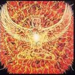 Alex Grey Fenix