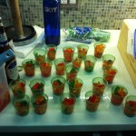 Vodka Gummies After