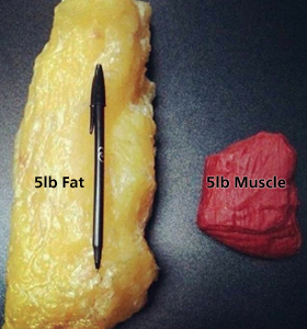 5-pounds-of-fat-5-pounds-of-muscle.jpg