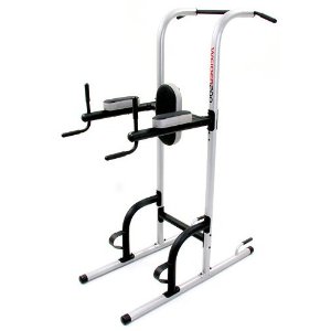 Joe Weider Power Tower Dip Chin Ups at home gym bodyweight exercises only