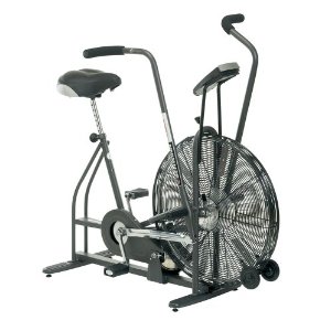 Schwinn AirDyne