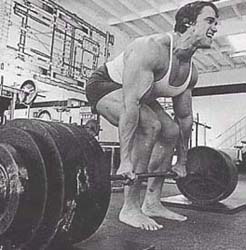 Arnold dead lifting
