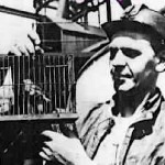 canary in coal mine